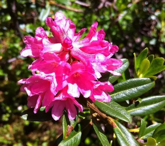 Eberl - Rita Finkenberg