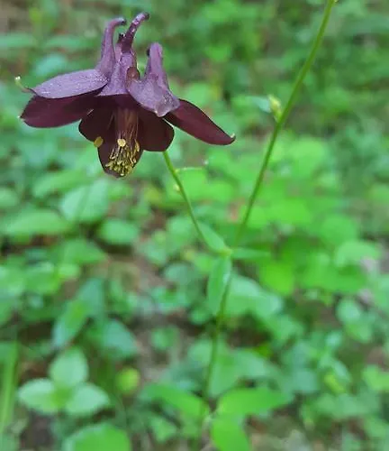 Gasthof Eberl - Rita Finkenberg